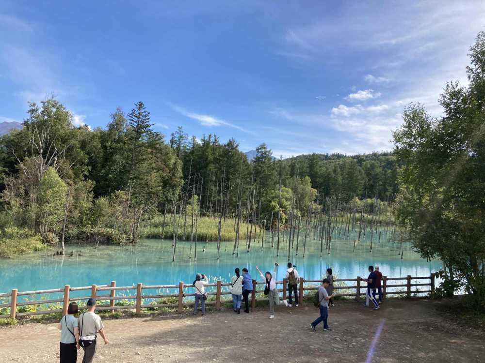 青い池奥の展望スペース